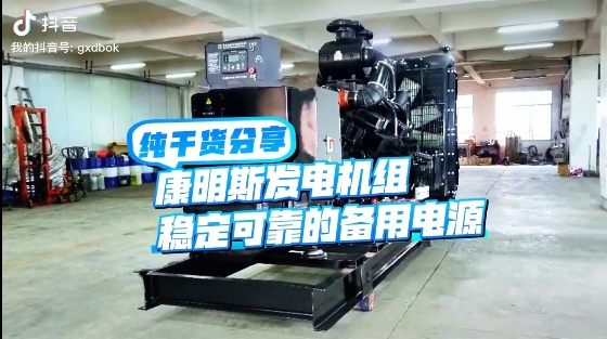 「視頻」如何應(yīng)對夏天斷電危機(jī)？640KW康明斯發(fā)電機(jī)組助您輕松應(yīng)對挑戰(zhàn) 